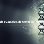 Réponse rapide : Combien de temps la laitue germe-t-elle ?